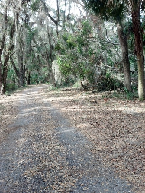 Oatland Hurricane-03.jpg
